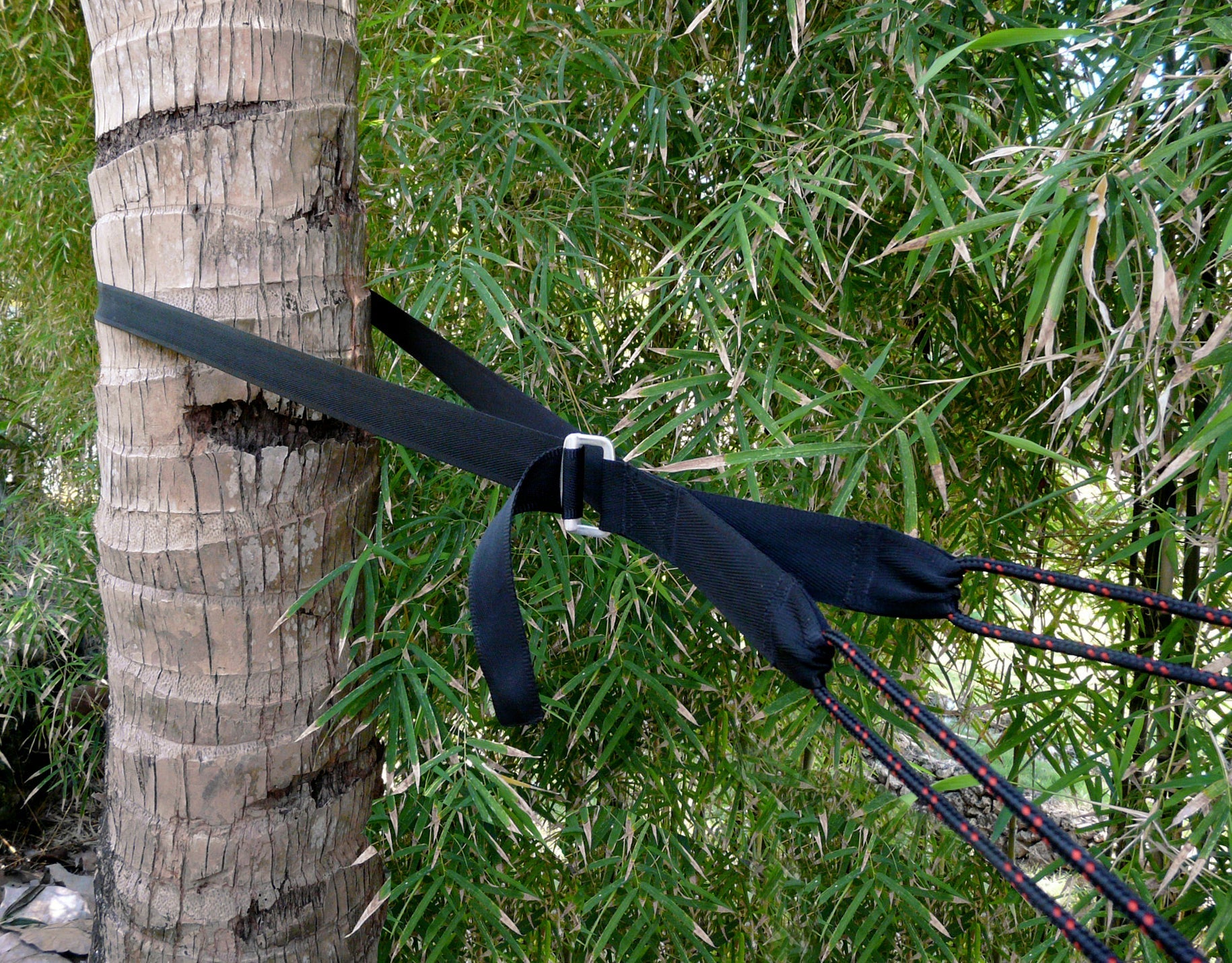 Deluxe Cinching Tree Straps