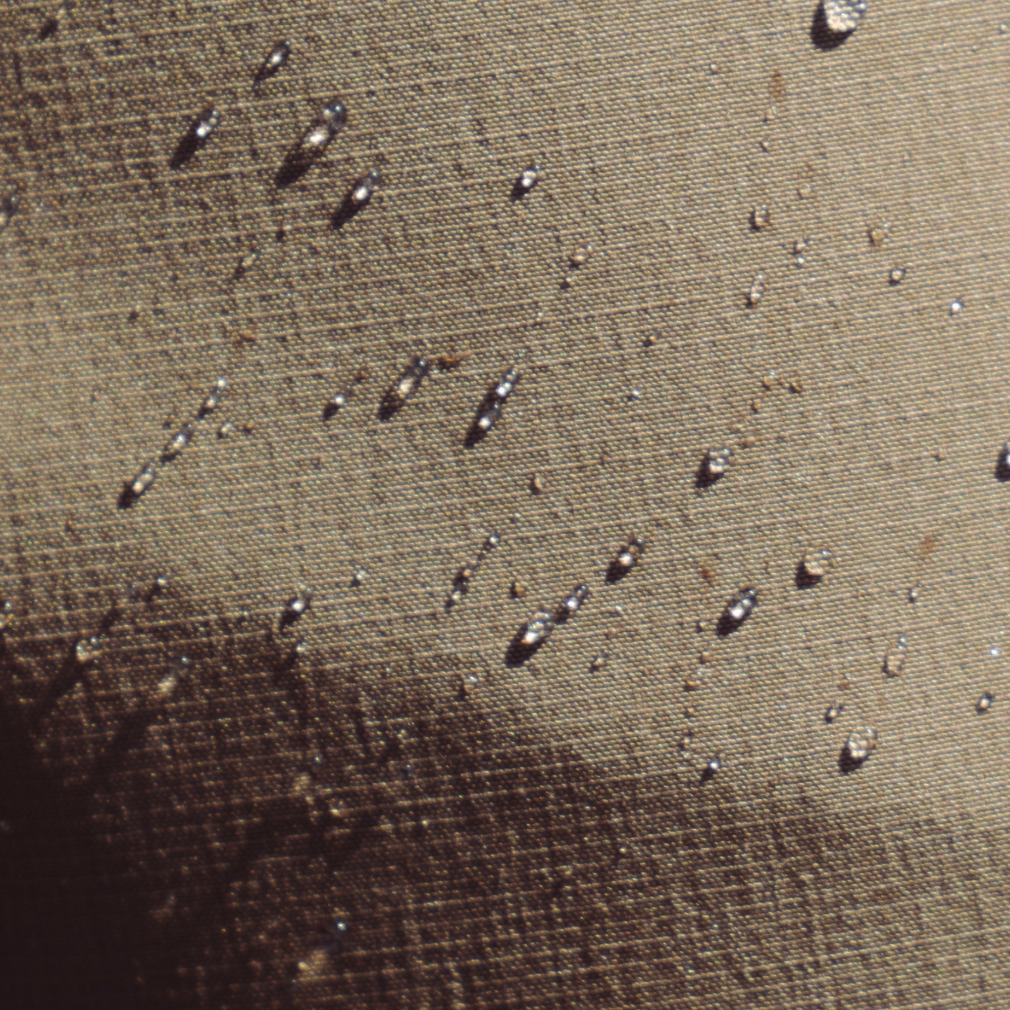 life-style-image Close-up of the texture and detail on Roark's Hytide Hybrid Shorts in dark khaki, featuring water-repellent fabric and versatile design for adventure and travel.