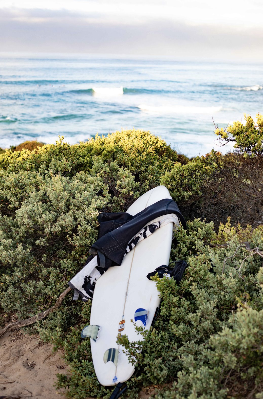 Surf Wax Native Dog Warm Water SunButter Oceans